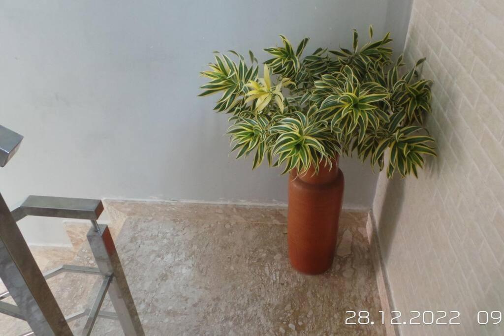 Villa Excelente casa com Piscina e Academia. Camaçari Esterno foto
